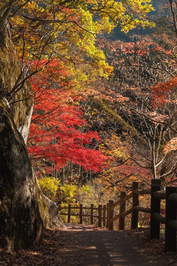 Ostello Osaka Ya Namba Esterno foto
